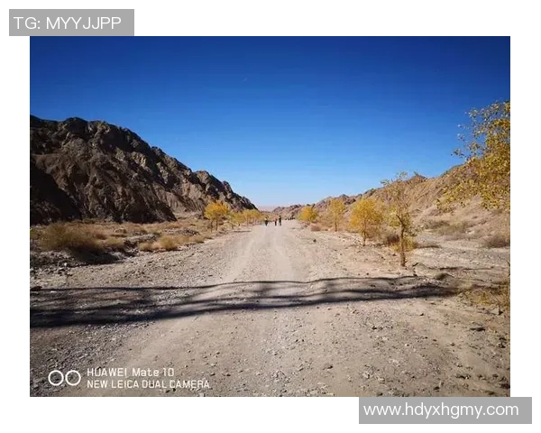 极限运动的成功秘笈吴静分享她的挑战与坚持之路